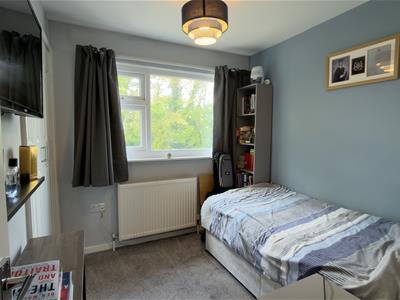 Picture 21